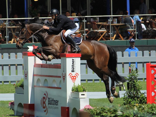 赛程让他们 赛程让他们