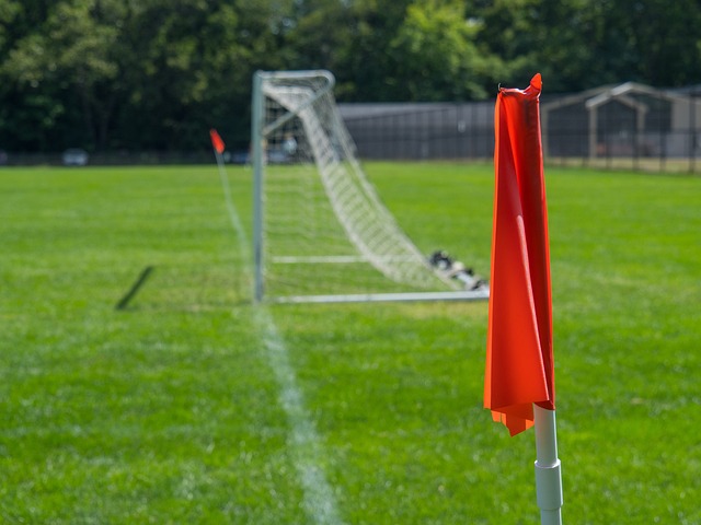 她们的全英 她们的全英