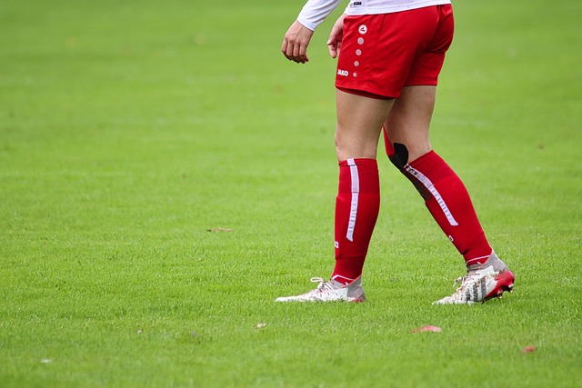 拜仁对于维 拜仁对于维