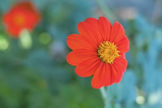 地区差异较 地区差异较