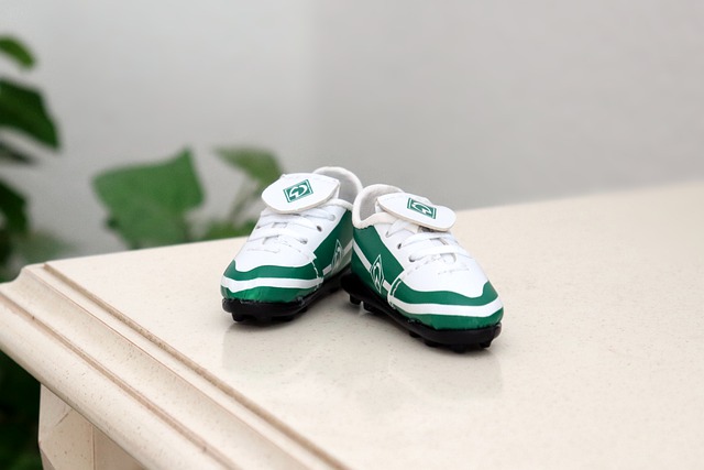 教师新政的 教师新政的