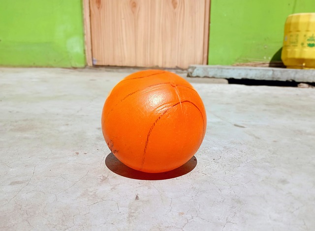 了出色的竞 了出色的竞